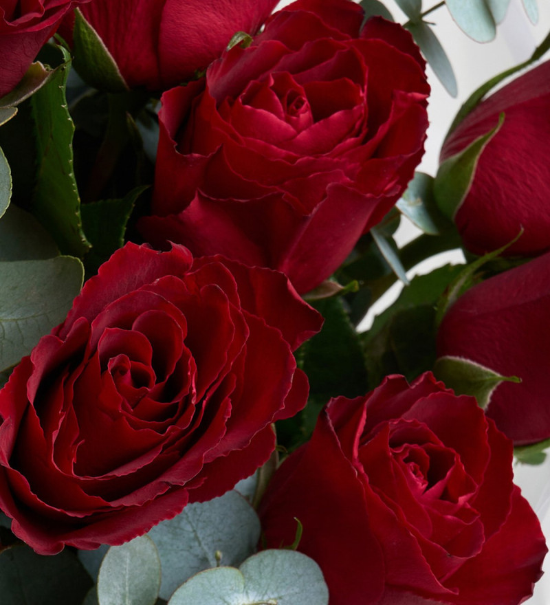 Beyaz Buket Kağıdında 20'li Kırmızı Gül Buketi