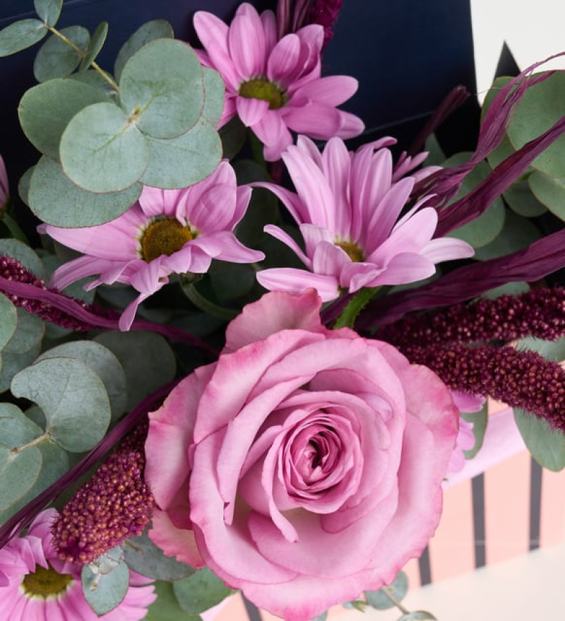 Mor Çizgili Zarfta Pembe Güller ve Papatyalar