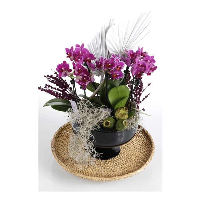 Happy Birthday Lovepop