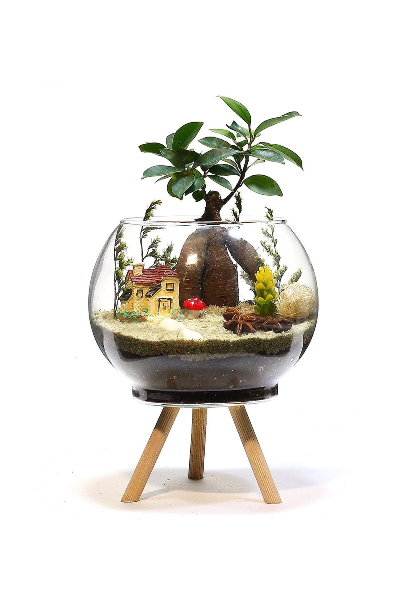 Ayaklı Saksıda Bonsai Teraryum