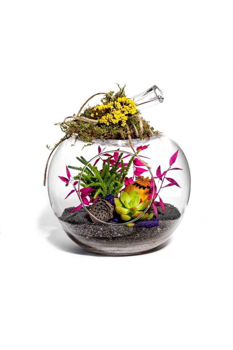 Teraryum sukulent bahçem