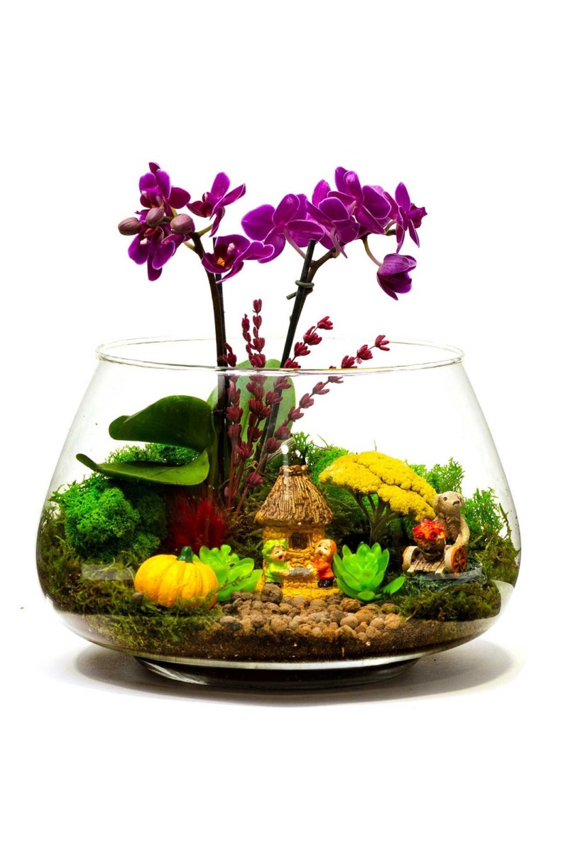Tatlı Bahçe Teraryum Orkide