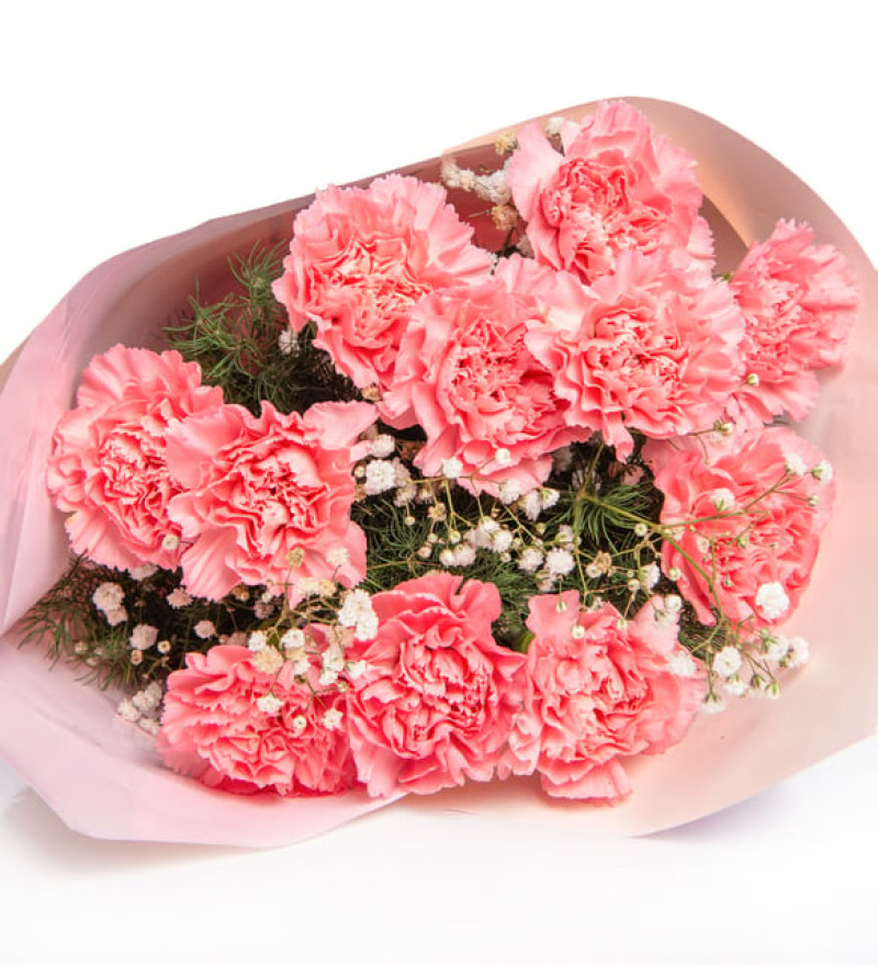 Pudra Bukette Pembe Karanfiller ve Cipsolar